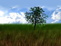 Grass 3D Model