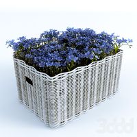 Корзина с Незабудками