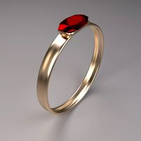 Ring 3D Model
