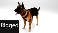 Dog 3D Model