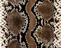 animal patterns (Шкура)2