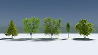 REALISTIC TREE ASSISSTANCE