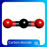 Carbon dioxide 3D Model CO2