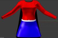 Womens Superhero Costume