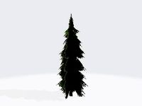 Cedar tree fan