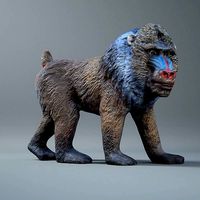 Mandrill