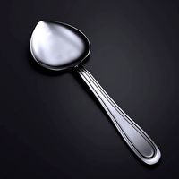 SUGAR SPOON 6