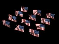 US National Flag