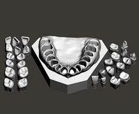 Dental Sample model | 3D