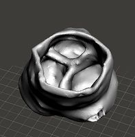The model of healthy aortic root | 3D