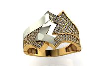 ring ston 69 | 3D