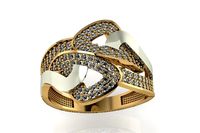 ring ston 66 | 3D