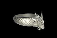 Dragon ring obj model  | 3D