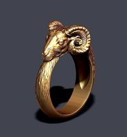 ram ring | 3D