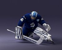 hockey goalkeeper 1007 3D print model | 3D