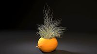 melon planter | 3D