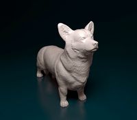 Welsh Corgi Pembroke dog | 3D