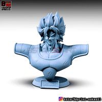 Broly Bust - from Broly Movie 2019 | 3D