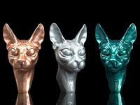 Cat sphynx | 3D