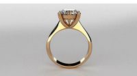 Solitary ring | 3D