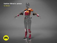 Sabine Wrens armor | 3D