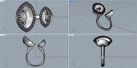 exotic fruit ring | 3D