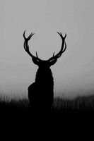 test123 | 3D