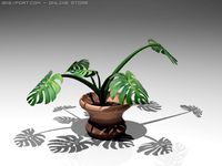 Plant2 3D Model