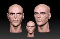 charcter head anatomy