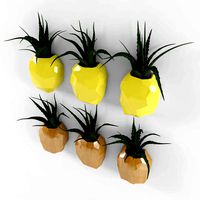 Pineapple flower set