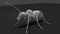 Ant 3D