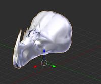 Neoceratopsia Like Dinosaur Triceratops like Dinosaur Second mdl