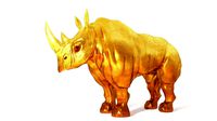 Rhino