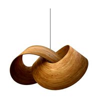 Torus Knot Light