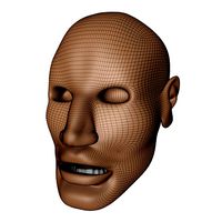 Marracash head