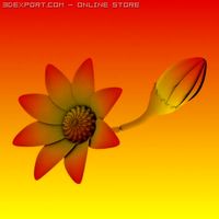 Animated Flower 3D Model