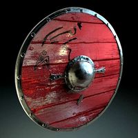 Viking Shield