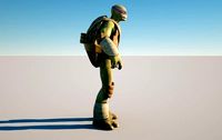 Donatello and animations