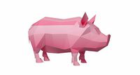 Pig Low Poly