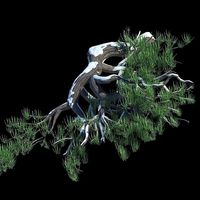 Tree model