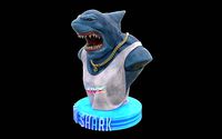 Loan Shark Bust