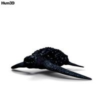 Leatherback Sea Turtle HD