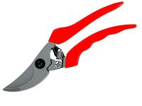 Pruning Shears