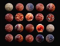 20 Bloody Gore Horror Seamless PBR Texture
