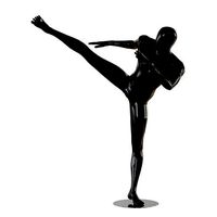 Abstract male mannequin fighter karate 16