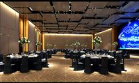 Hotel ballroom  DESIGN