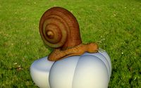 snail 3d model