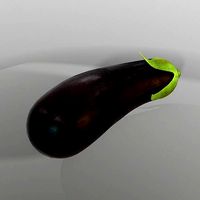 Eggplant