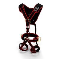 Security Harness