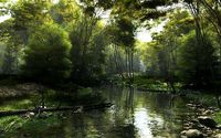 Shady brook in Vue
